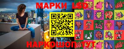 apvp Бийск