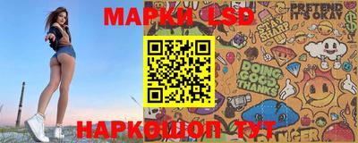 apvp Бийск